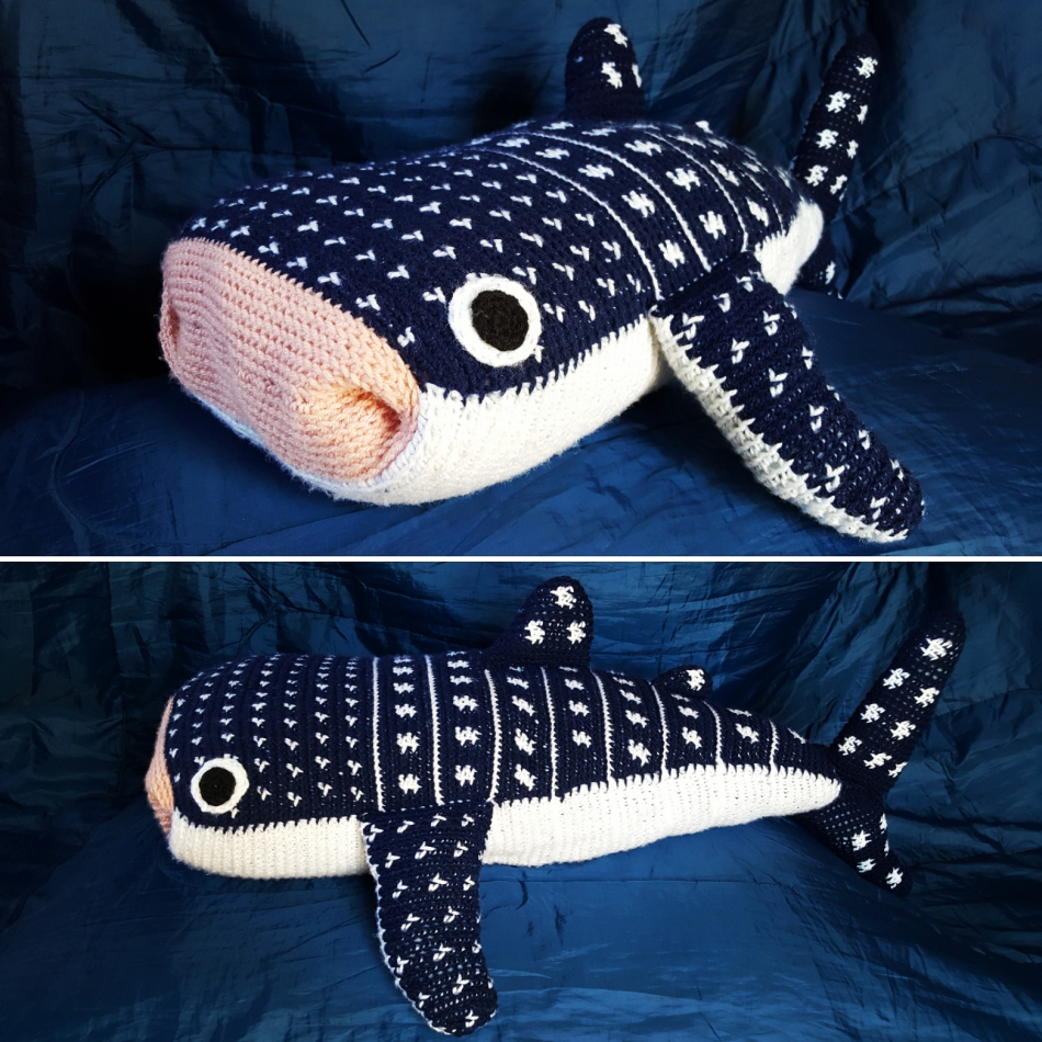 whale_shark.jpg